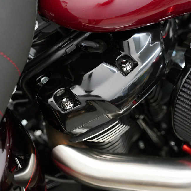 Arlen Ness, titanium 12-point rocker box bolt kit