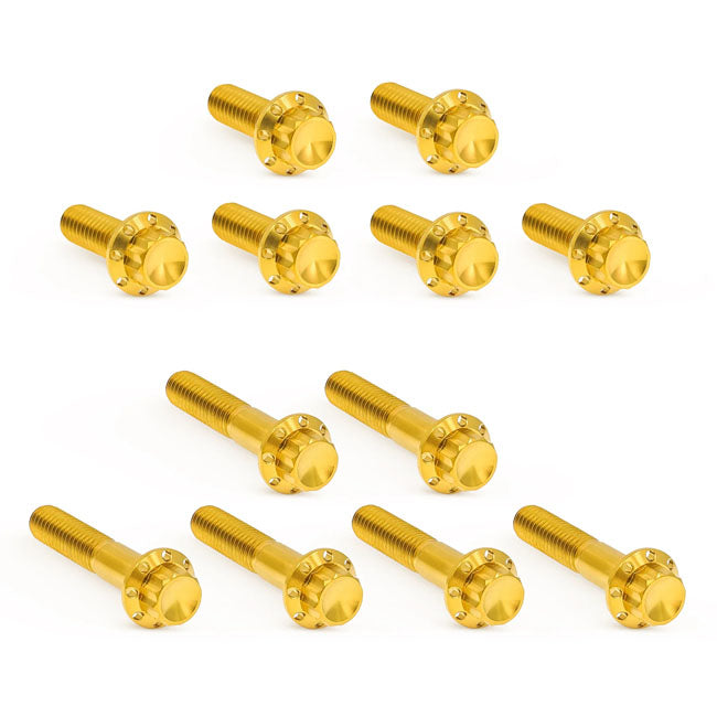 Arlen Ness, titanium 12-point rocker box bolt kit