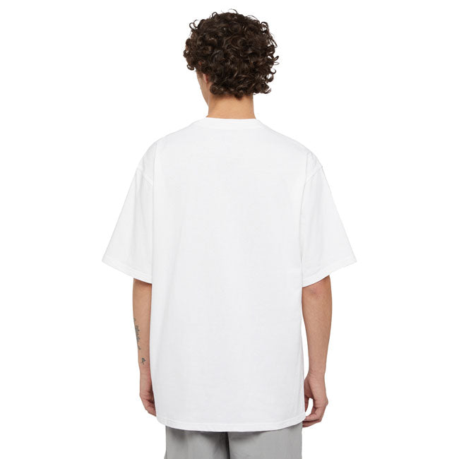 Dickies Clancy Heavyweight t-shirt