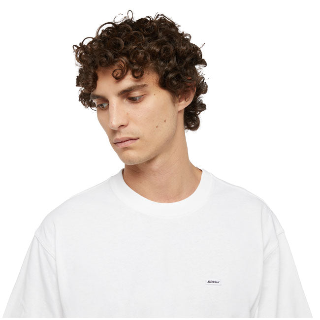 Dickies Clancy Heavyweight t-shirt