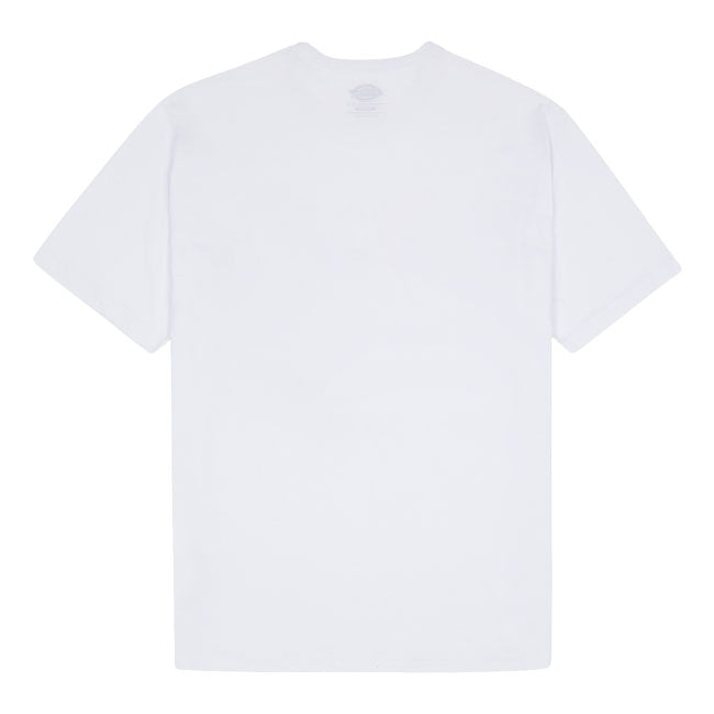 Dickies Summerdale t-shirt