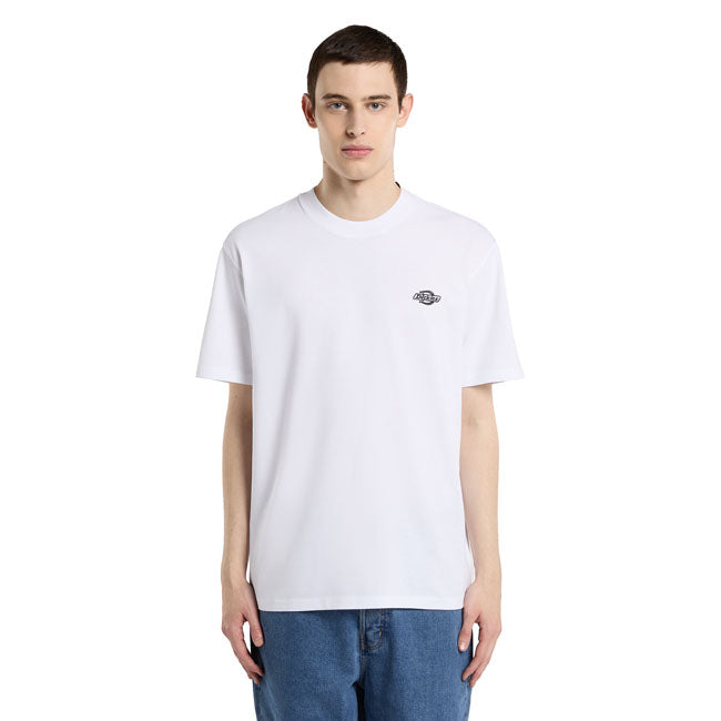 Dickies Summerdale t-shirt