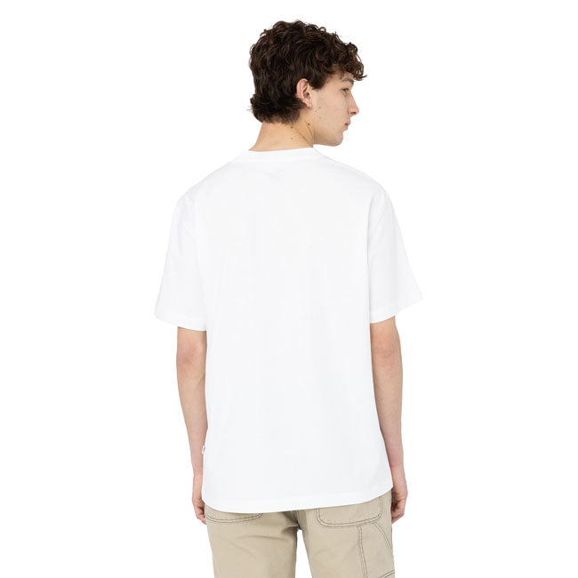 Dickies Summerdale t-shirt