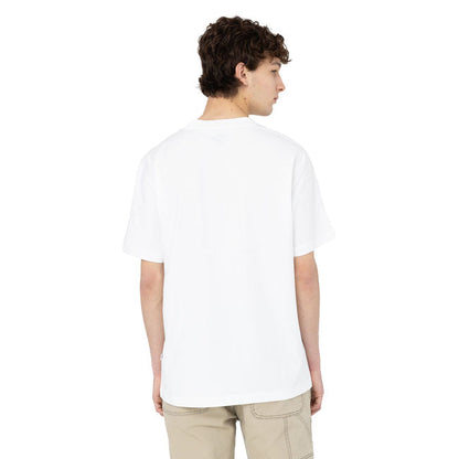 Dickies Summerdale t-shirt