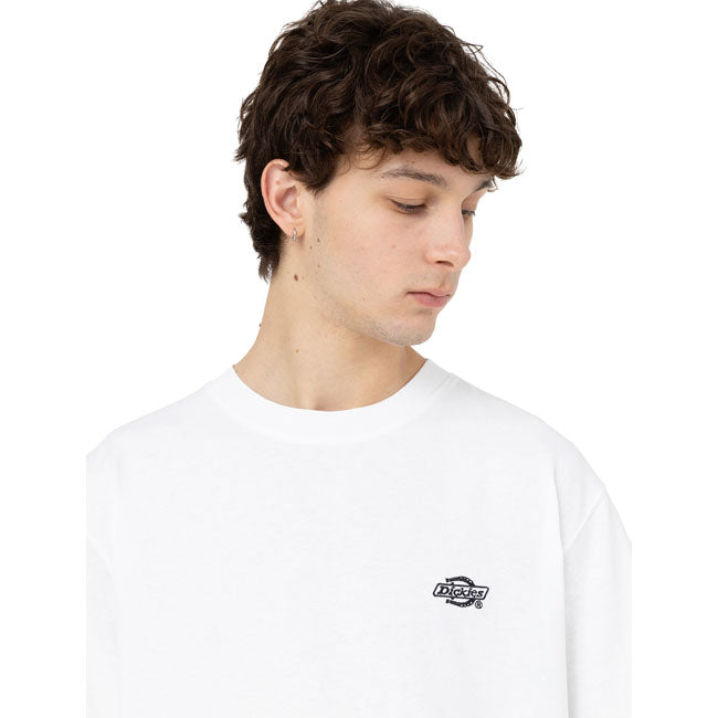 Dickies Summerdale t-shirt