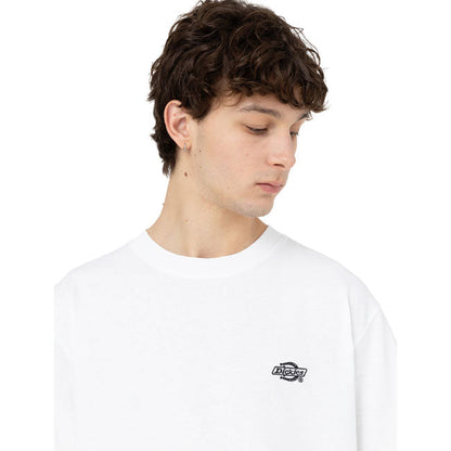 Dickies Summerdale t-shirt
