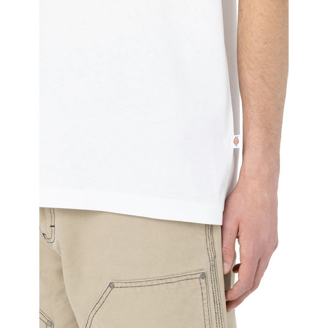 Dickies Summerdale t-shirt