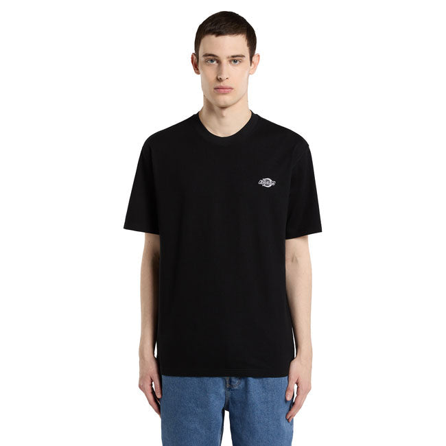 Dickies Summerdale t-shirt