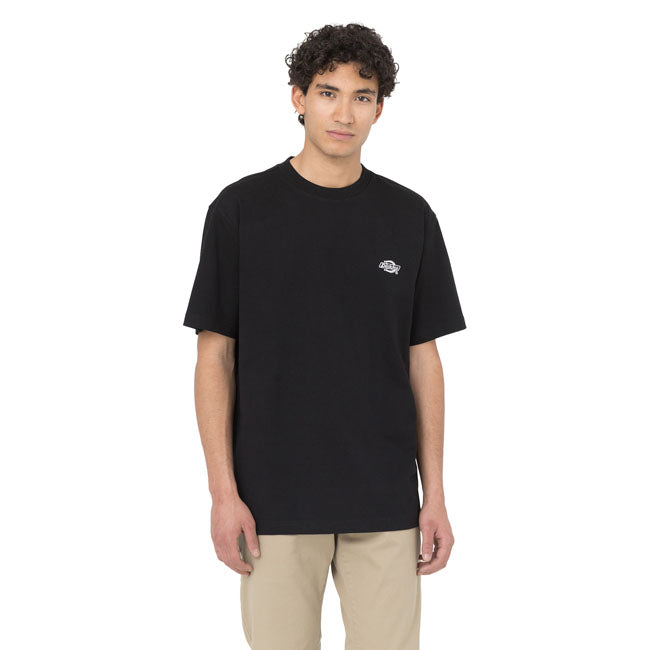 Dickies Summerdale t-shirt