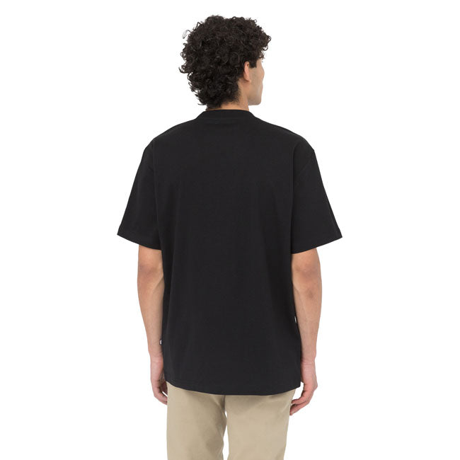 Dickies Summerdale t-shirt