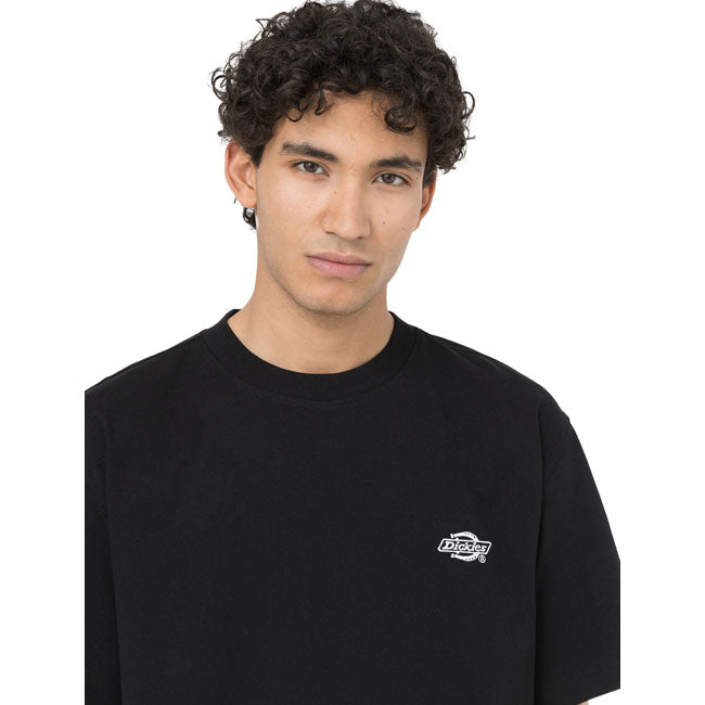 Dickies Summerdale t-shirt