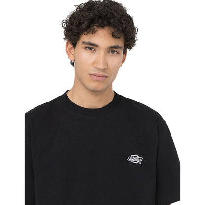 Dickies Summerdale t-shirt