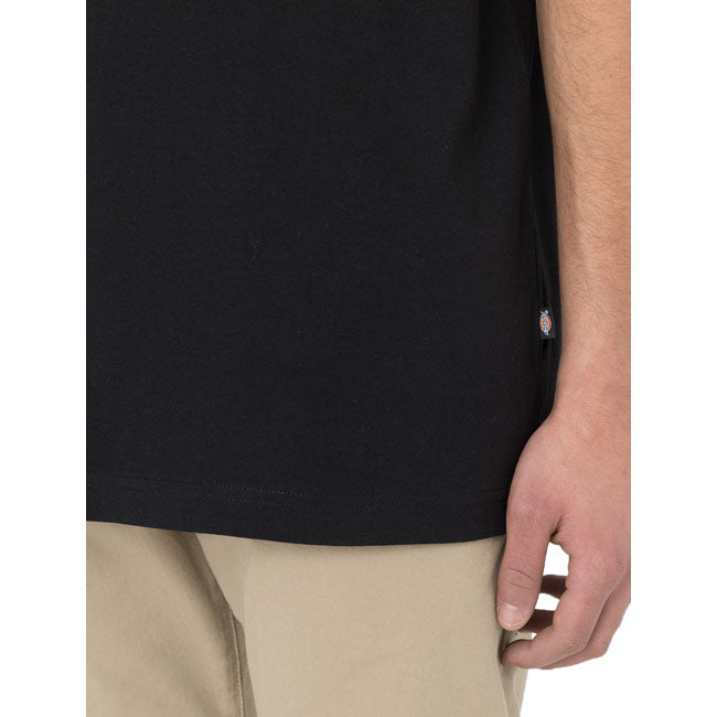 Dickies Summerdale t-shirt