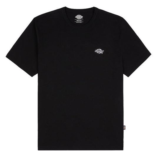 Dickies Summerdale t-shirt