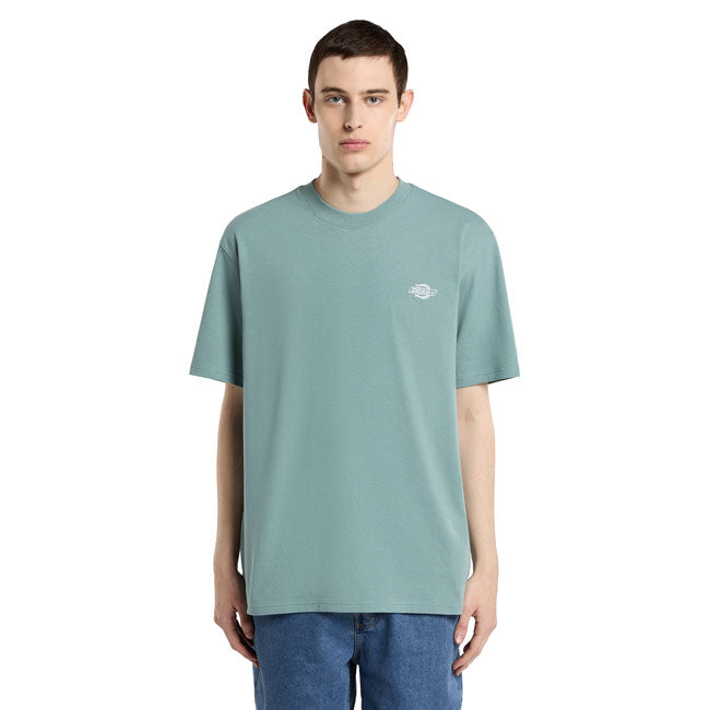 Dickies Summerdale t-shirt