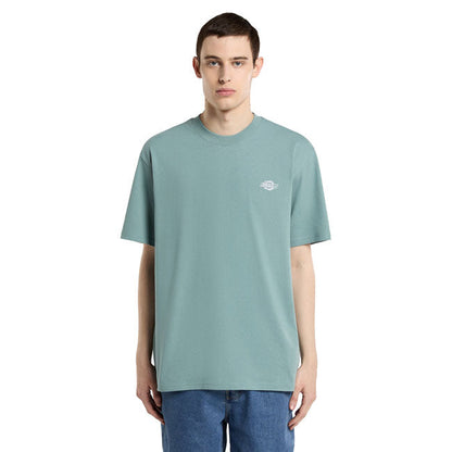 Dickies Summerdale t-shirt