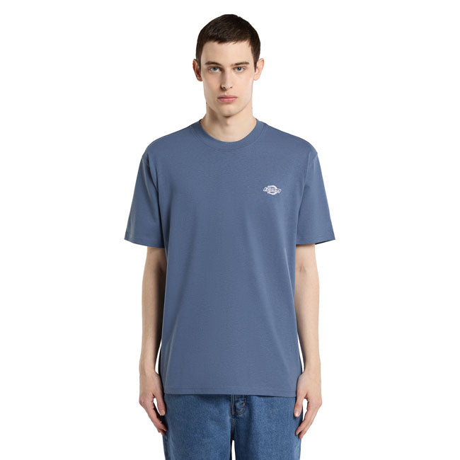 Dickies Summerdale t-shirt