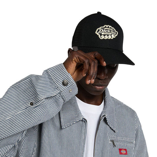 Dickies Irondale trucker cap