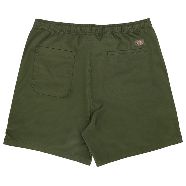 Dickies Pelican rapids short cypress