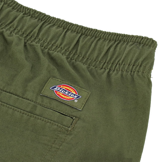 Dickies Pelican rapids short cypress
