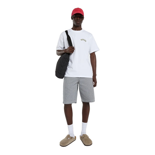 Dickies Bettsville t-shirt