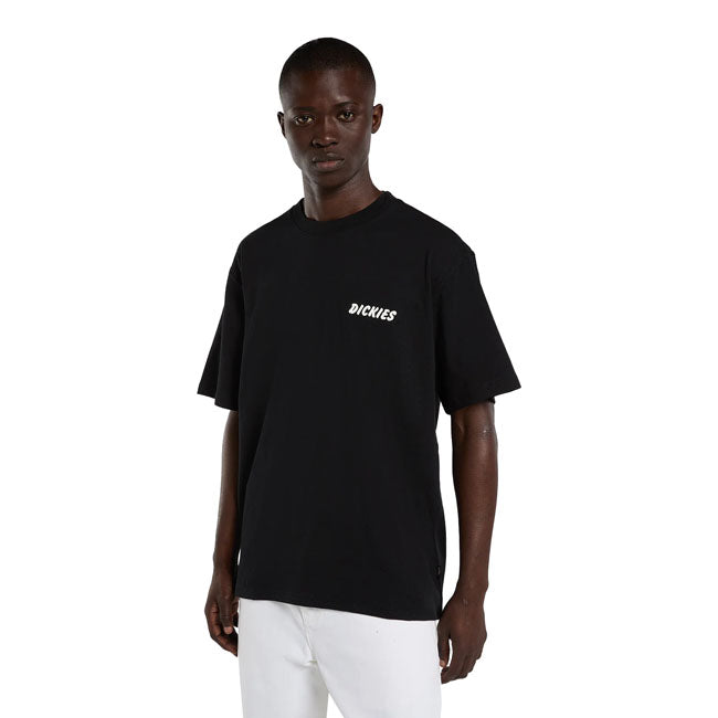 Dickies Dry Ridge t-shirt
