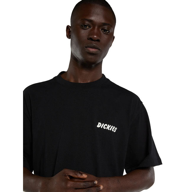Dickies Dry Ridge t-shirt