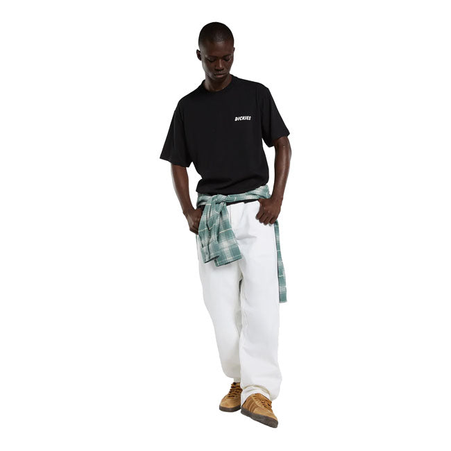 Dickies Dry Ridge t-shirt
