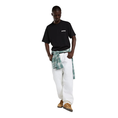 Dickies Dry Ridge t-shirt