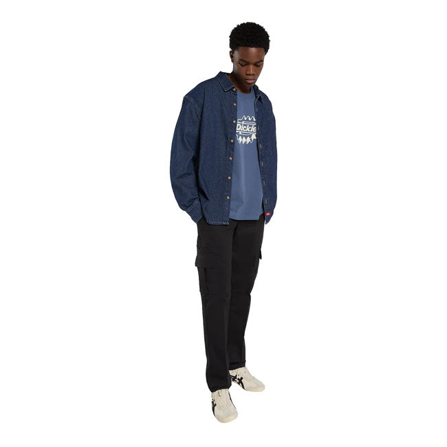 Dickies Irondale t-shirt