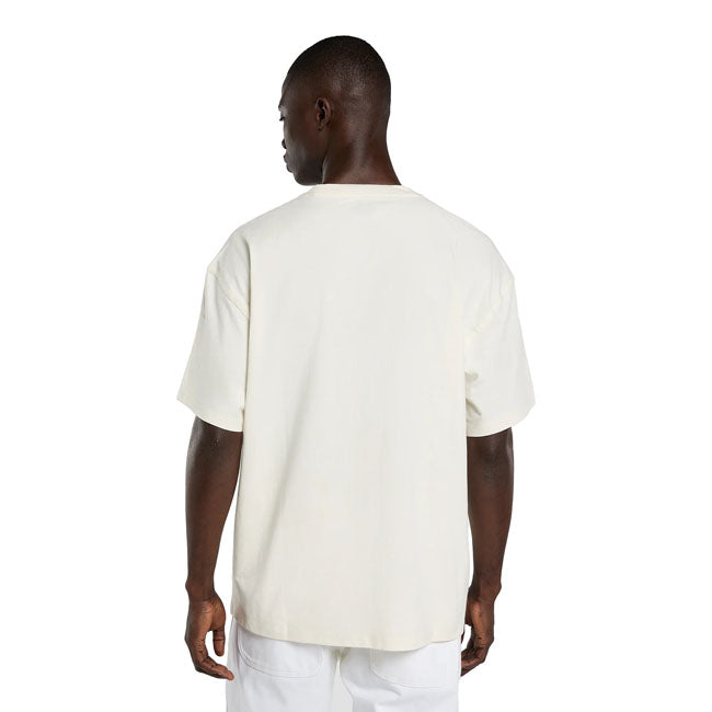 Dickies Irondale t-shirt