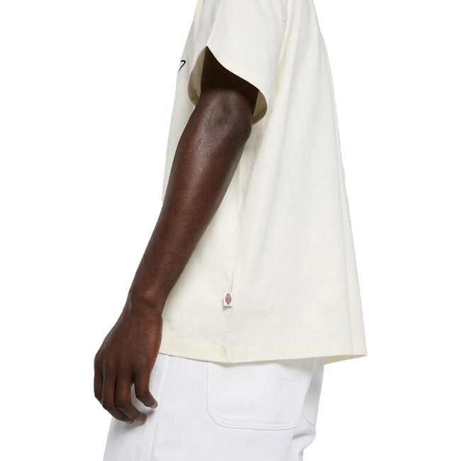 Dickies Irondale t-shirt