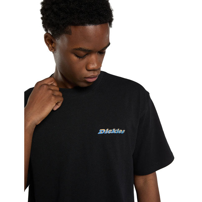 Dickies Thornville t-shirt