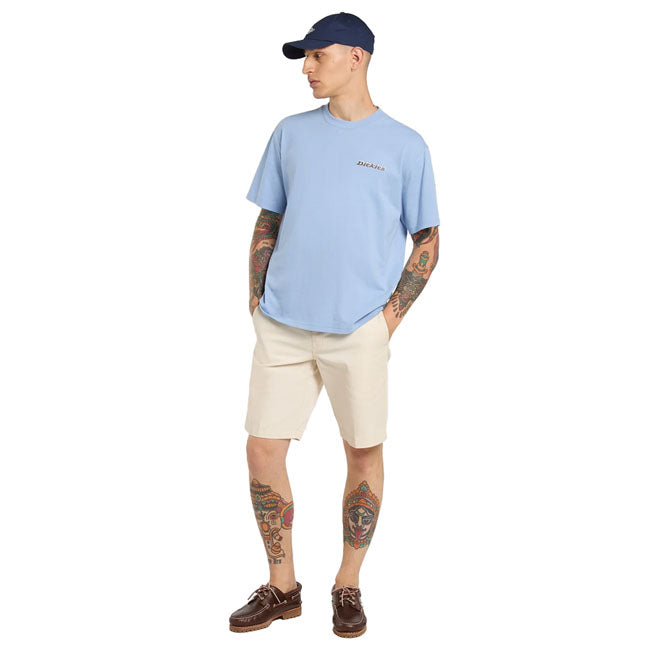 Dickies Thornville t-shirt