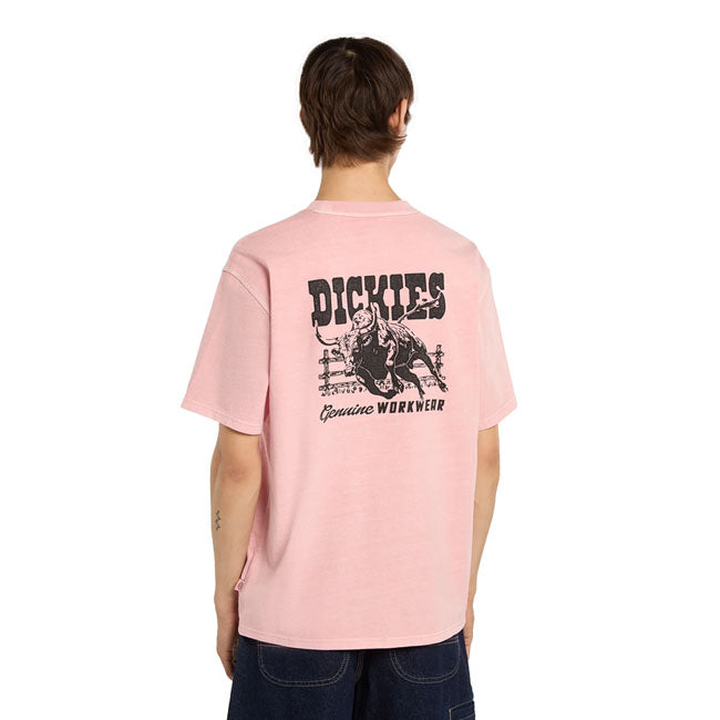 Dickies Buchtell t-shirt