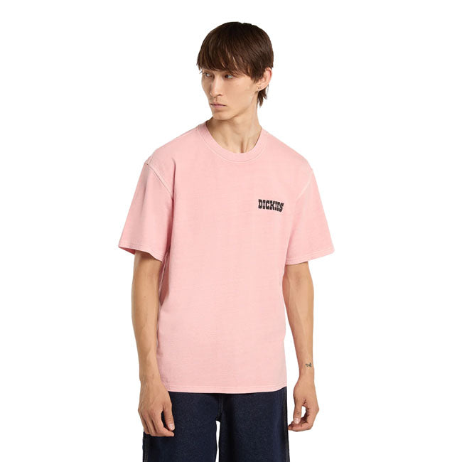 Dickies Buchtell t-shirt