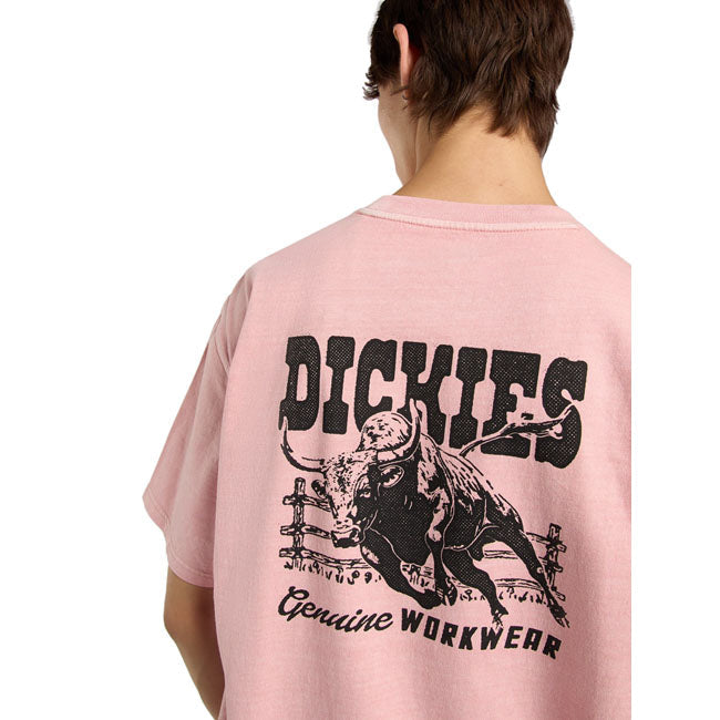 Dickies Buchtell t-shirt