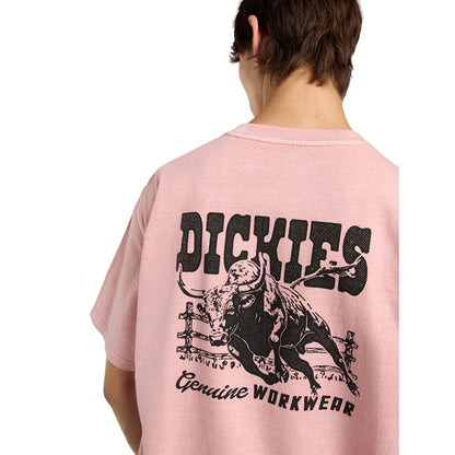 Dickies Buchtell t-shirt