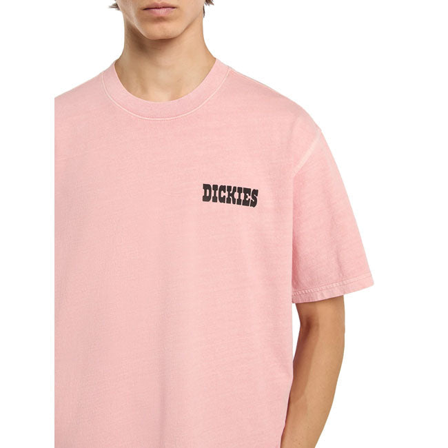 Dickies Buchtell t-shirt