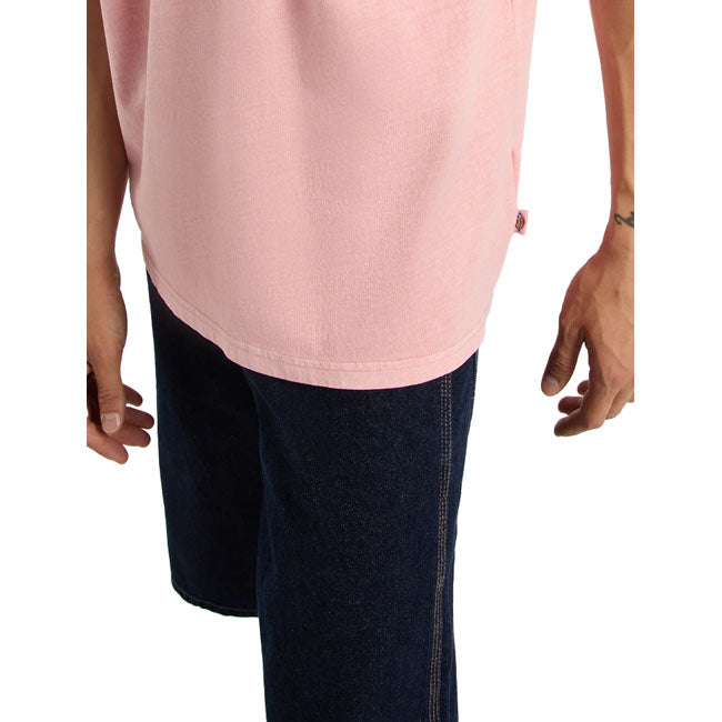 Dickies Buchtell t-shirt