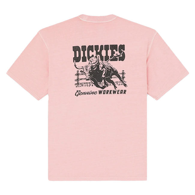 Dickies Buchtell t-shirt