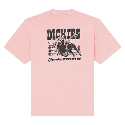 Dickies Buchtell t-shirt