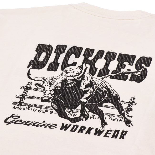 Dickies Buchtell t-shirt