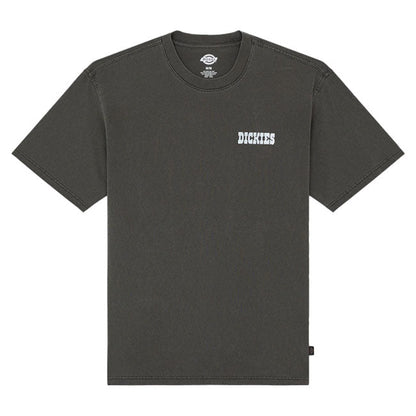 Dickies Buchtell t-shirt