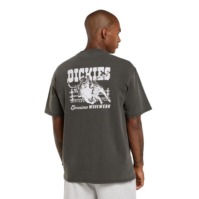Dickies Buchtell t-shirt