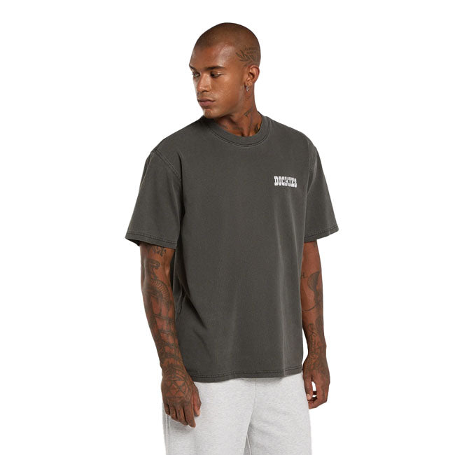 Dickies Buchtell t-shirt