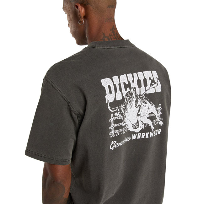 Dickies Buchtell t-shirt