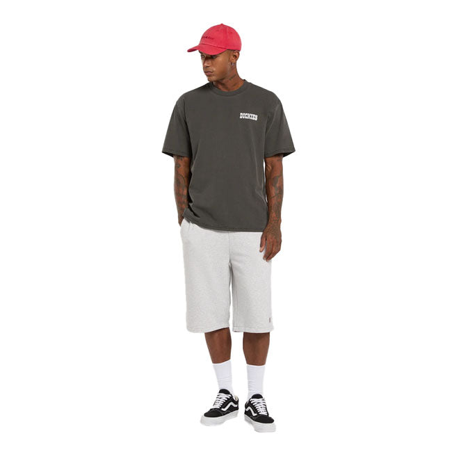 Dickies Buchtell t-shirt