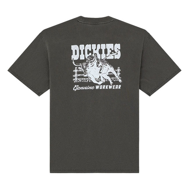 Dickies Buchtell t-shirt