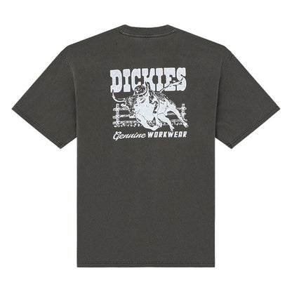 Dickies Buchtell t-shirt